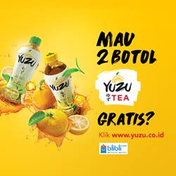 ciri ciri buah yuzu citrus