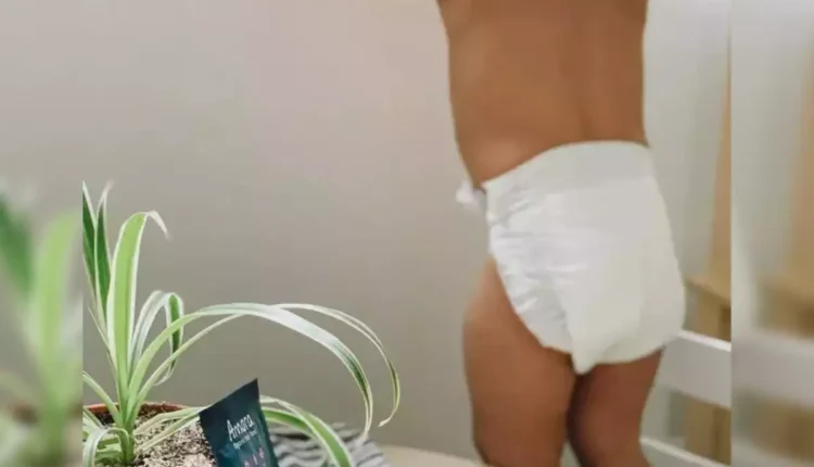 sweety bronze pants